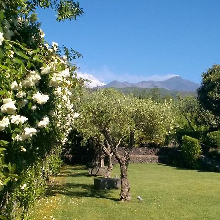 Casa Vacanze Prato Verde Zafferana Etnea Eksteriør billede